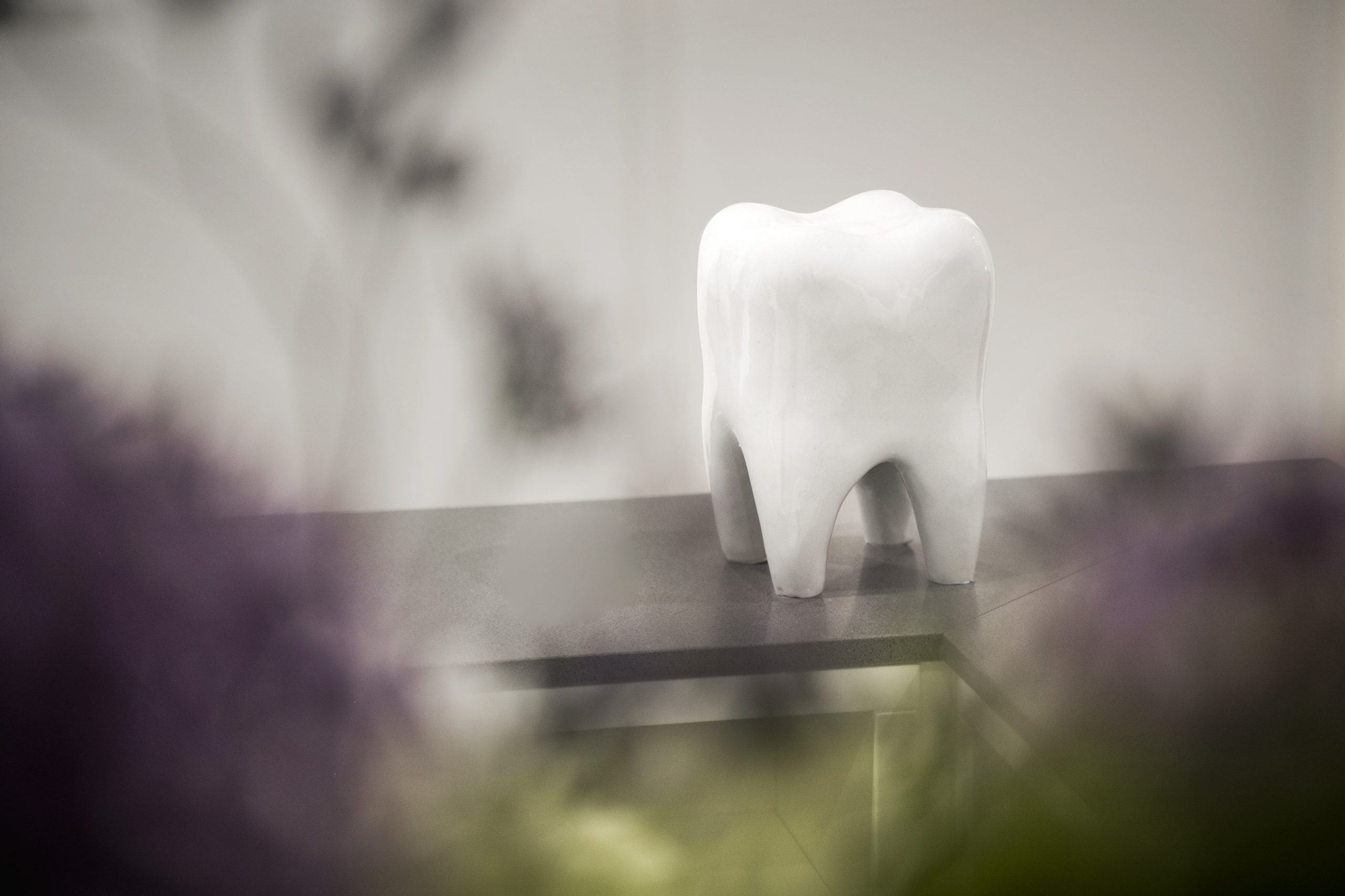 ZAKluesener_Image-17